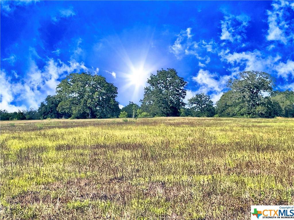 5300 Soda Springs Road - Photo 1
