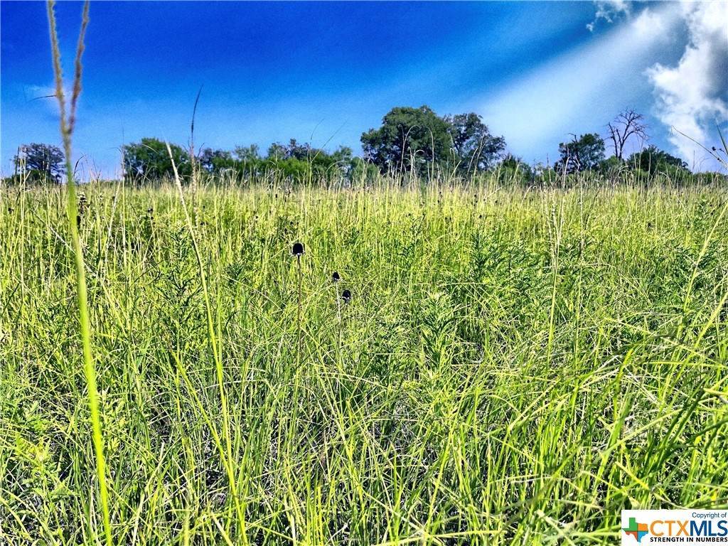 5350 Soda Springs Road - Photo 1