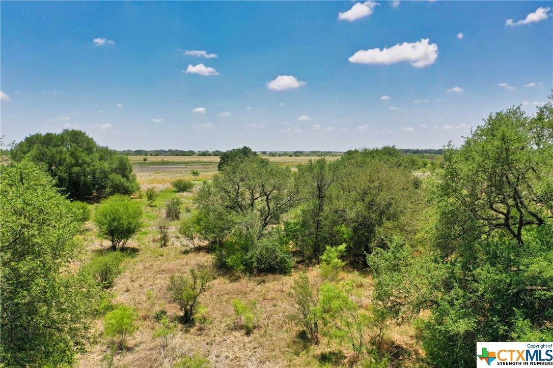 TRACT P County Road 512 & Cr 411 - Photo 1