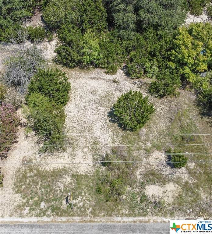 2305 Phyllis Drive - Photo 1