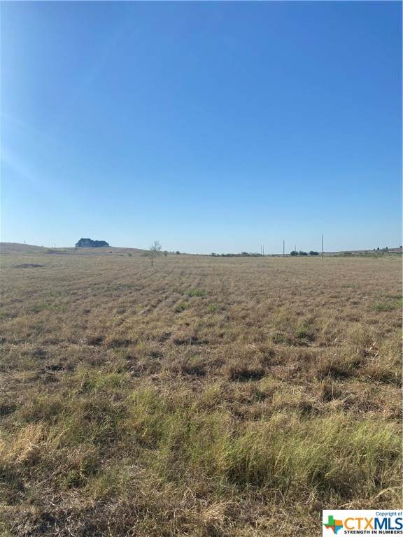 Lot 18 TBD County Road 451 - Photo 1