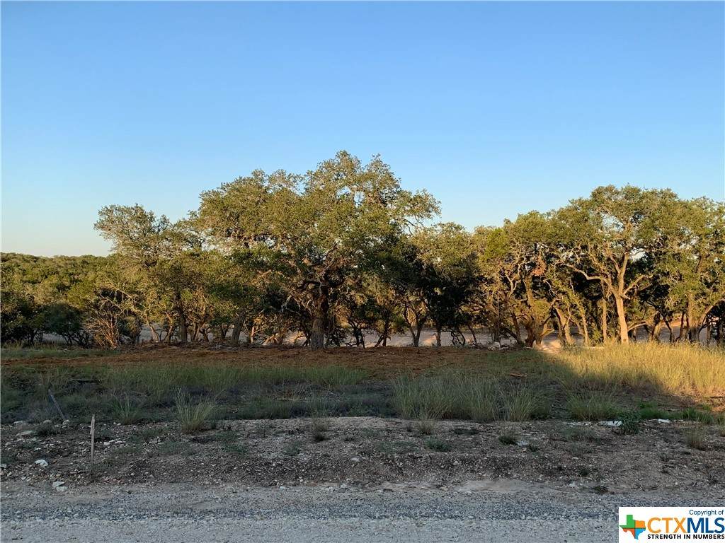 319 Serenity Pass - Photo 1