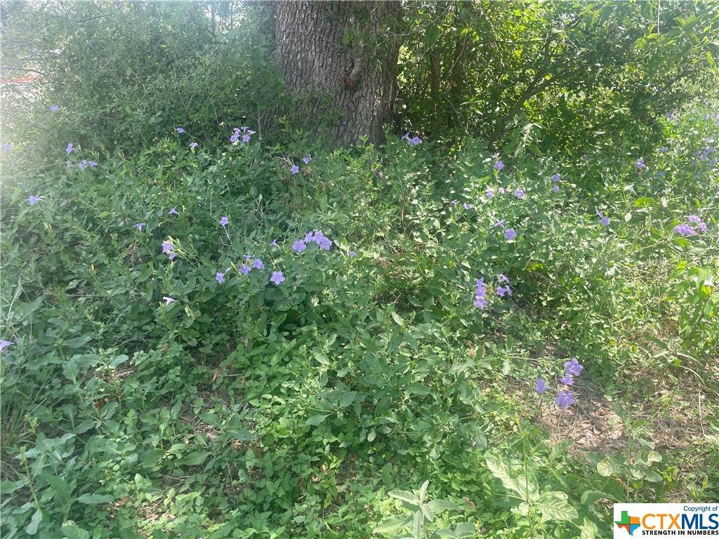 722 Turner Lane - Photo 1