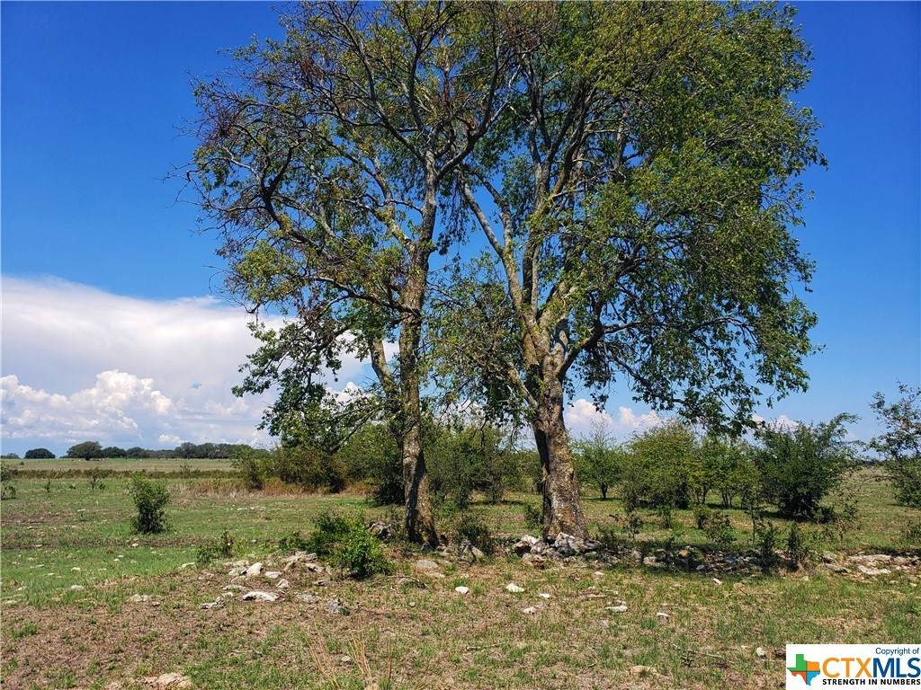 Tract 1 Cr 226 Road - Photo 1