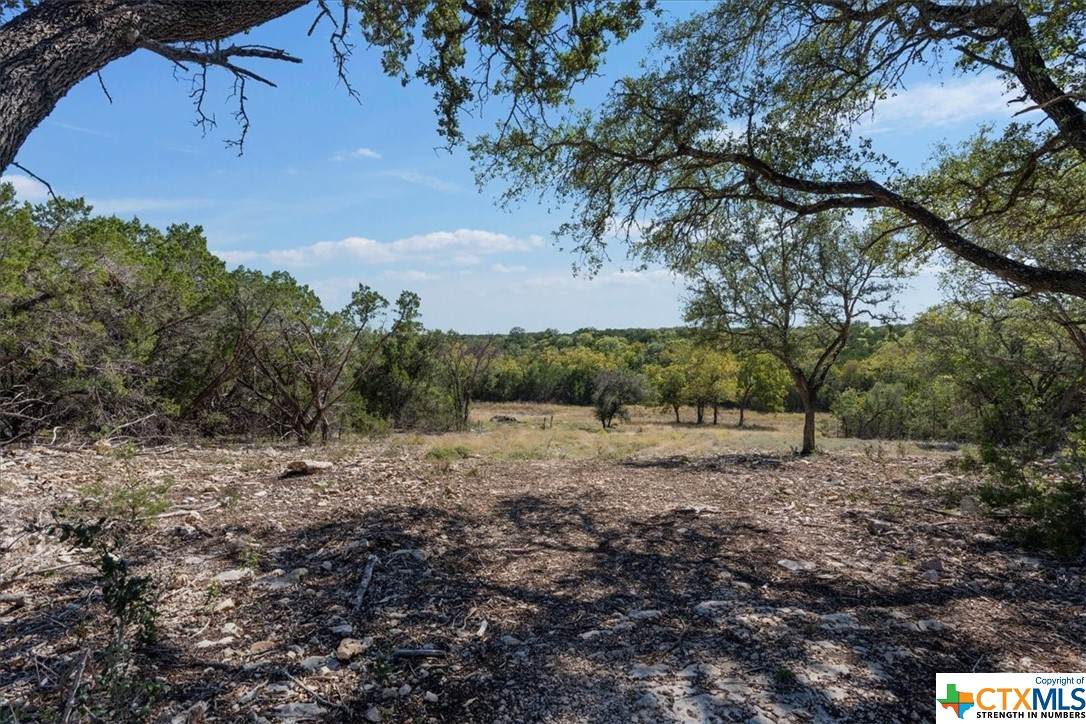 2502 Fm 184 - Photo 1