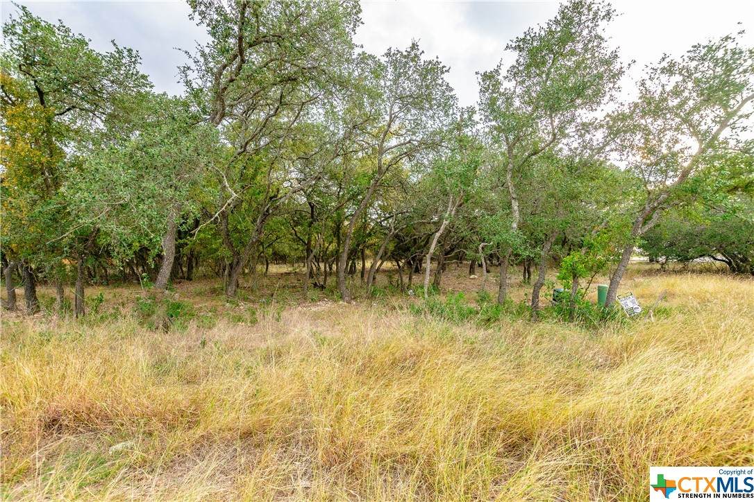 8438 Spring Creek Loop - Photo 1
