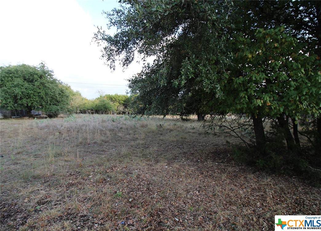 TBD Lake Forest Drive - Photo 1