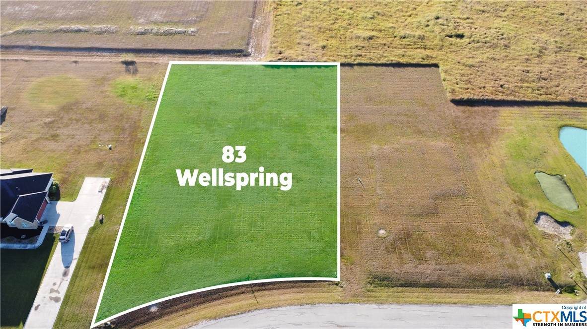 83 Wellspring Boulevard - Photo 1