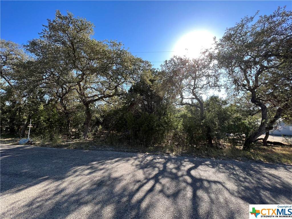 1064 Overbrook Lane - Photo 1
