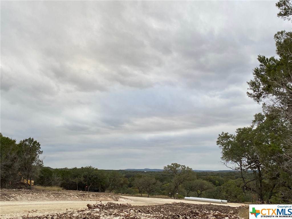 1007 Pristine Trail - Photo 1