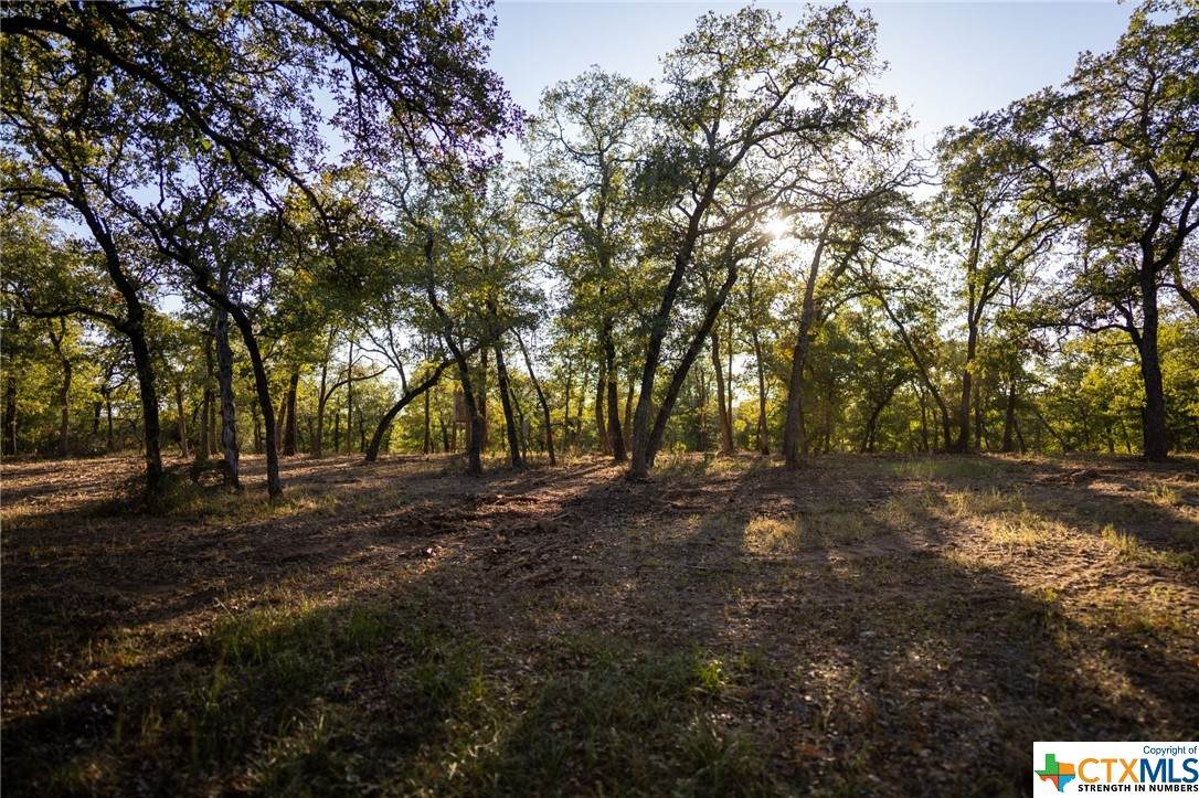 Tract 3 Nash Creek Road - Photo 1