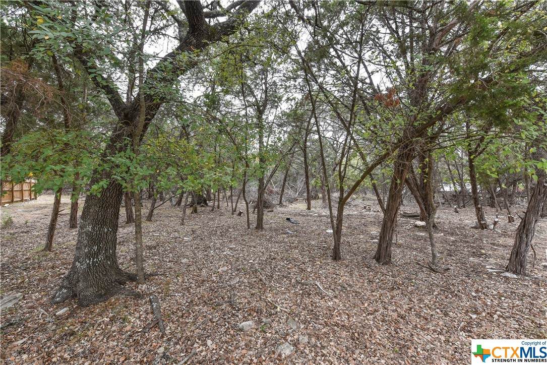 TBD Blackjack Circle - Photo 1