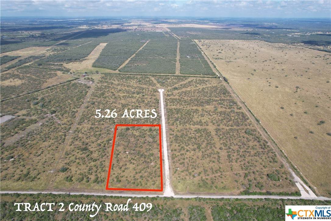 Tract 2 County Road 409 - Photo 1