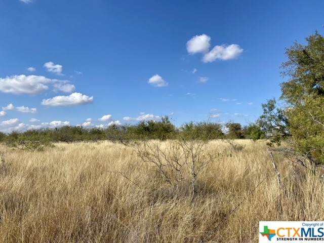 004 Sandy Ridge Road - Photo 1