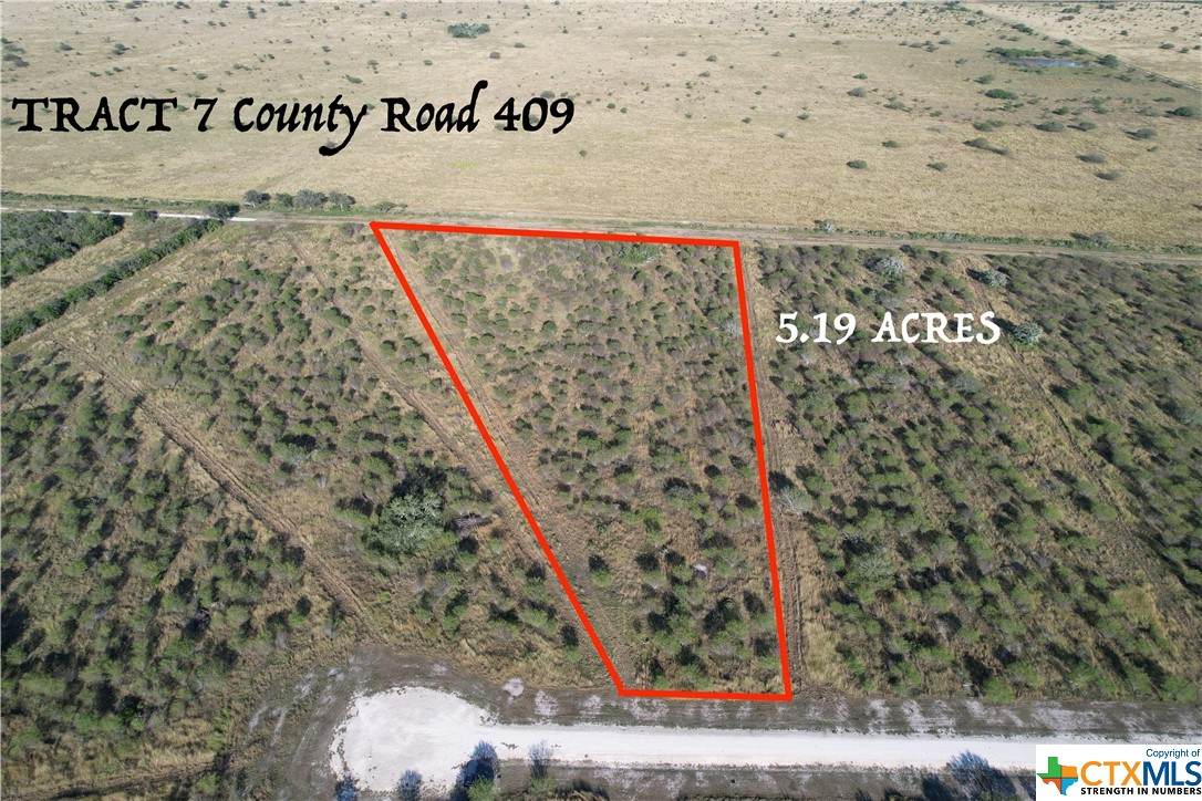 Tract 7 County Road 409 - Photo 1