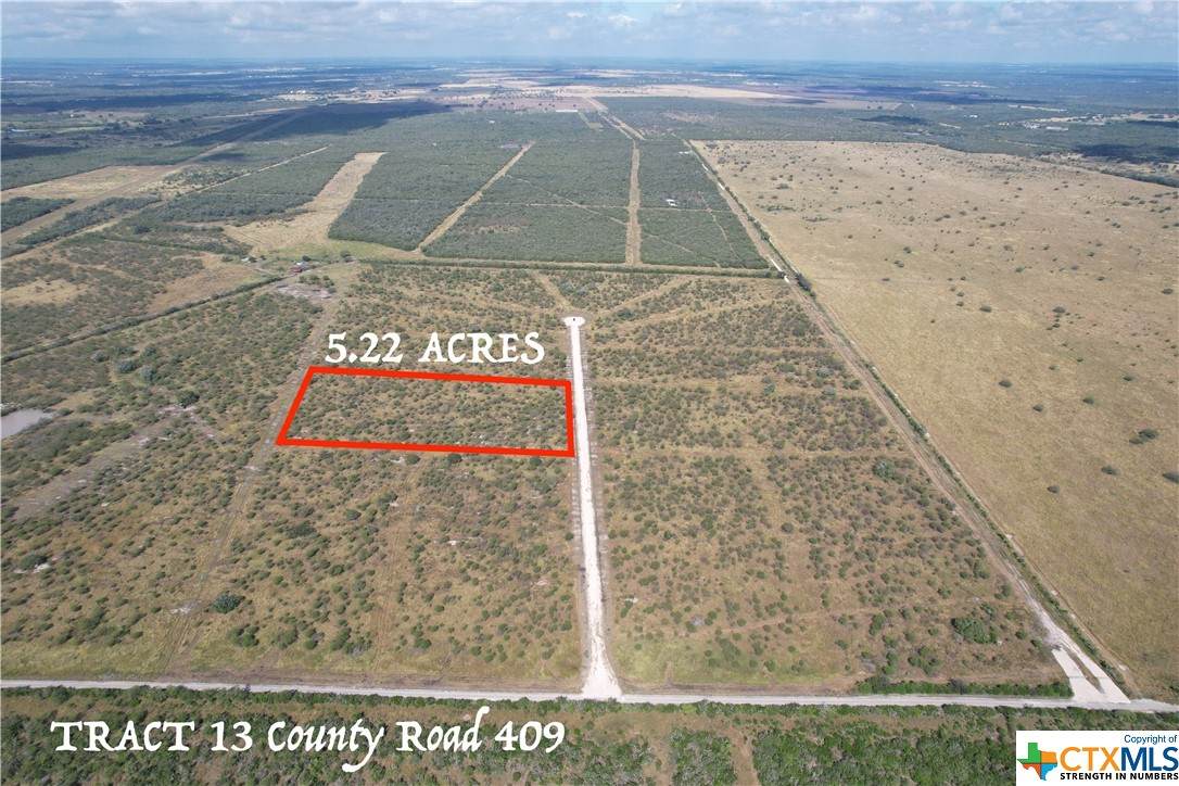 Tract 13 County Road 409 - Photo 1