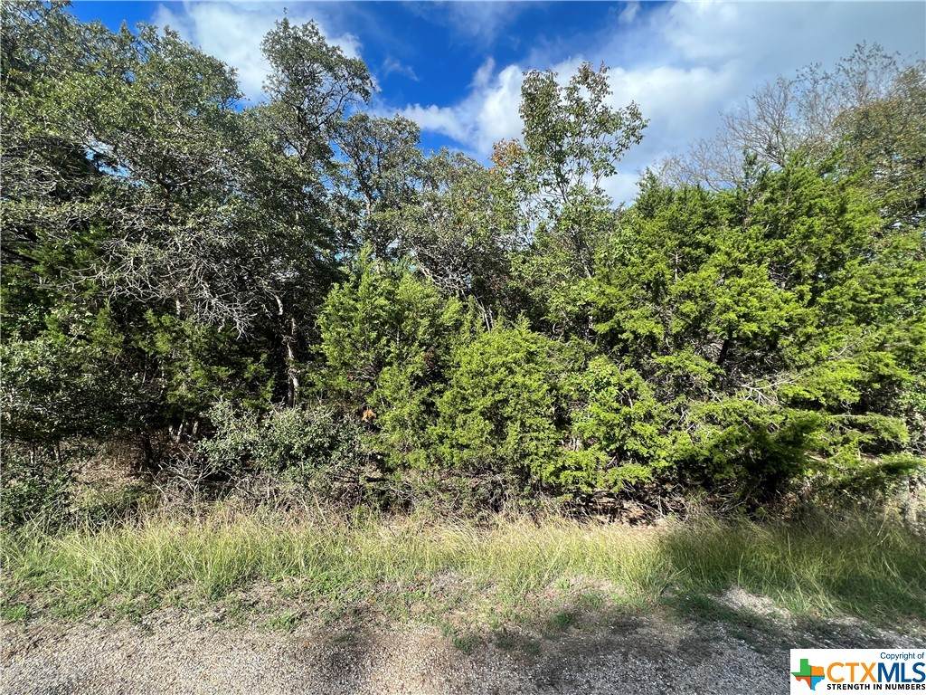 14897 Cart Road - Photo 1