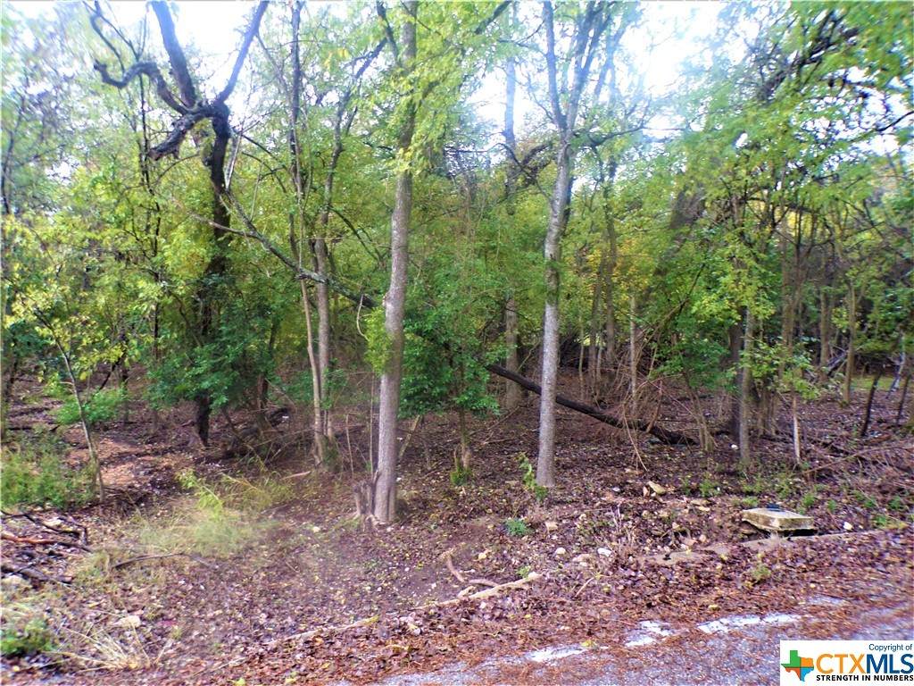 3974 Stillhouse Drive - Photo 1