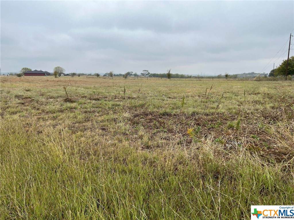 140 Gustav Ln Road - Photo 1