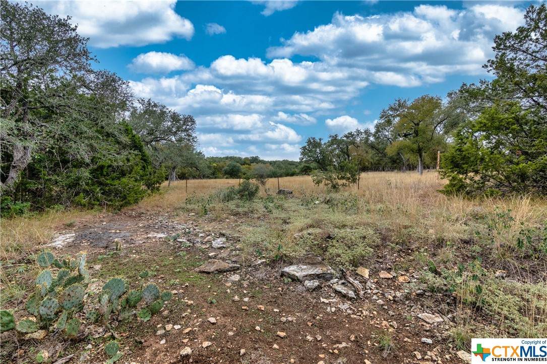 430 Falconwood Drive - Photo 1