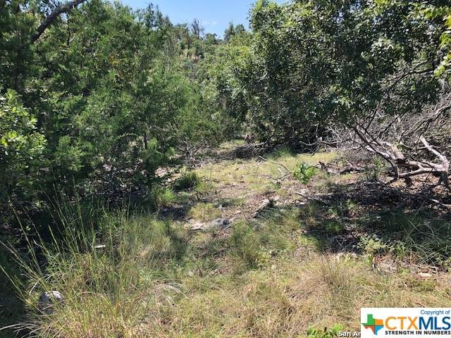 Lot 8 Longview Drive - Photo 1