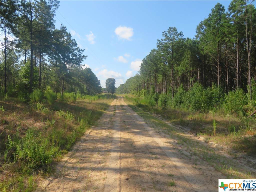 999 Co Rd 1101 - Photo 1