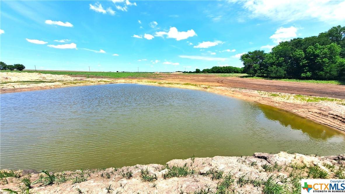 Tract 3 County Road 432 - Photo 1