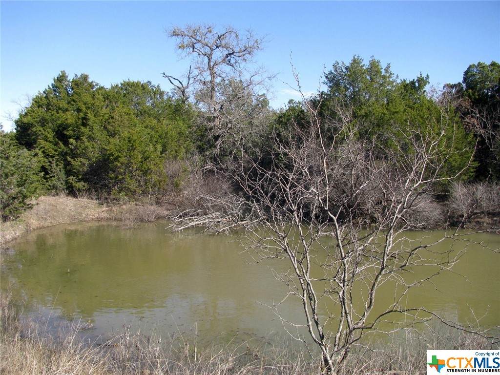 Lot 3 Ph 6 County Road 421 - Photo 1