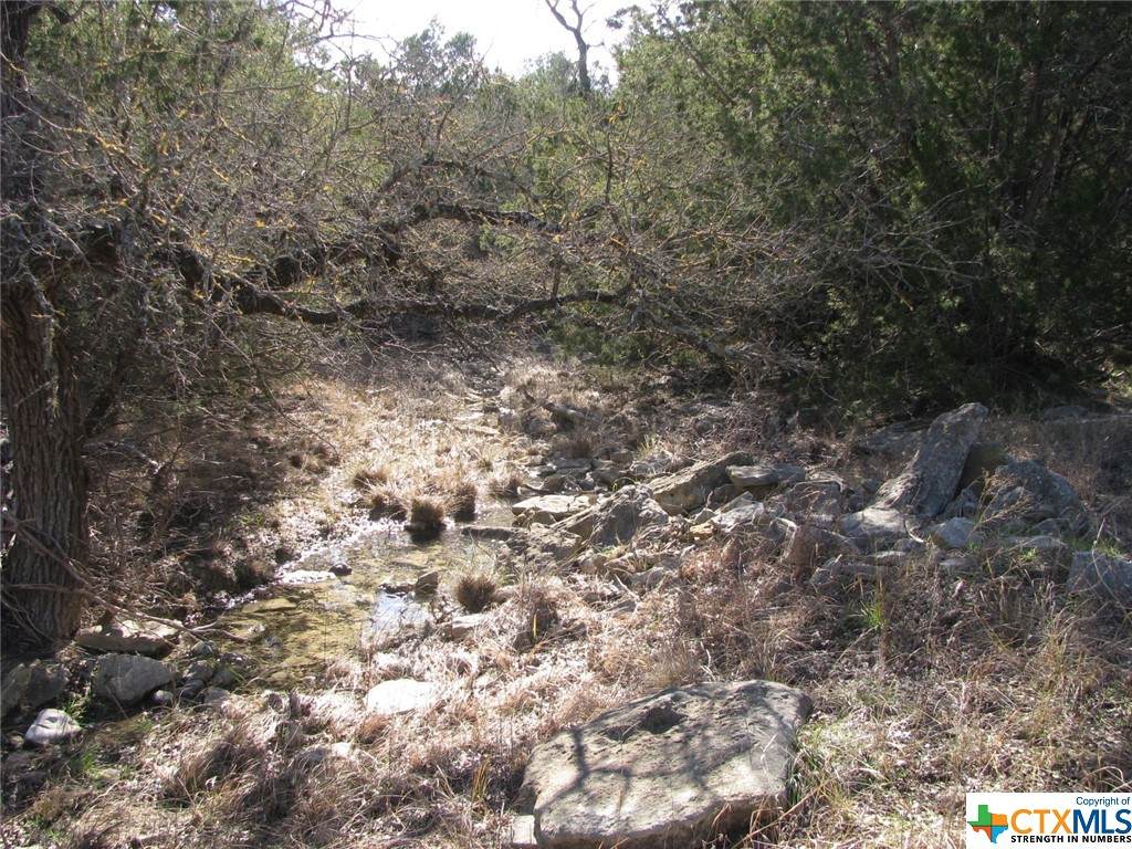 https://bt-photos.global.ssl.fastly.net/centraltx/orig_boomver_1_531513-2.jpg