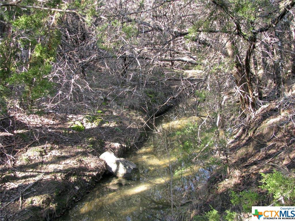https://bt-photos.global.ssl.fastly.net/centraltx/orig_boomver_1_531513-2.jpg