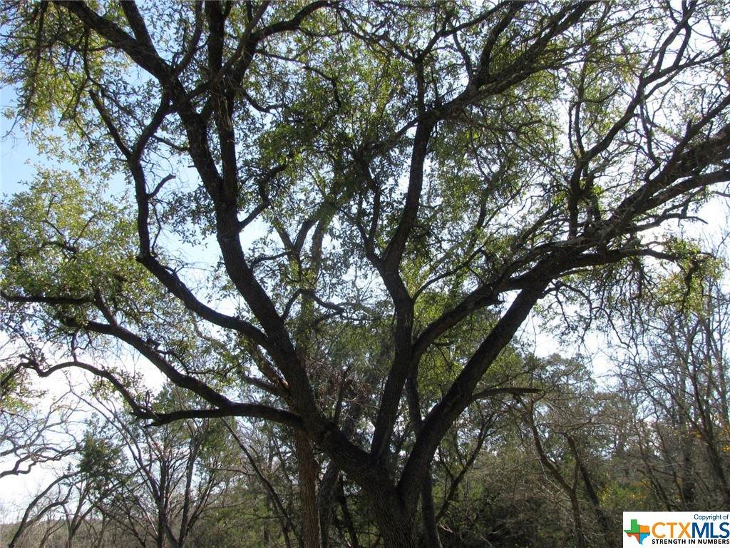 Lot 42 Ph 4 Pr 42129 - Photo 1