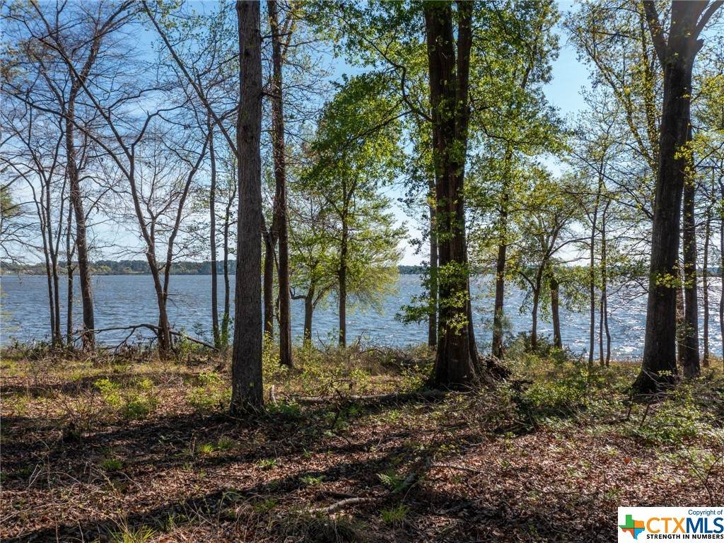 3108 Shadow Pine Drive, Larue - Photo 1