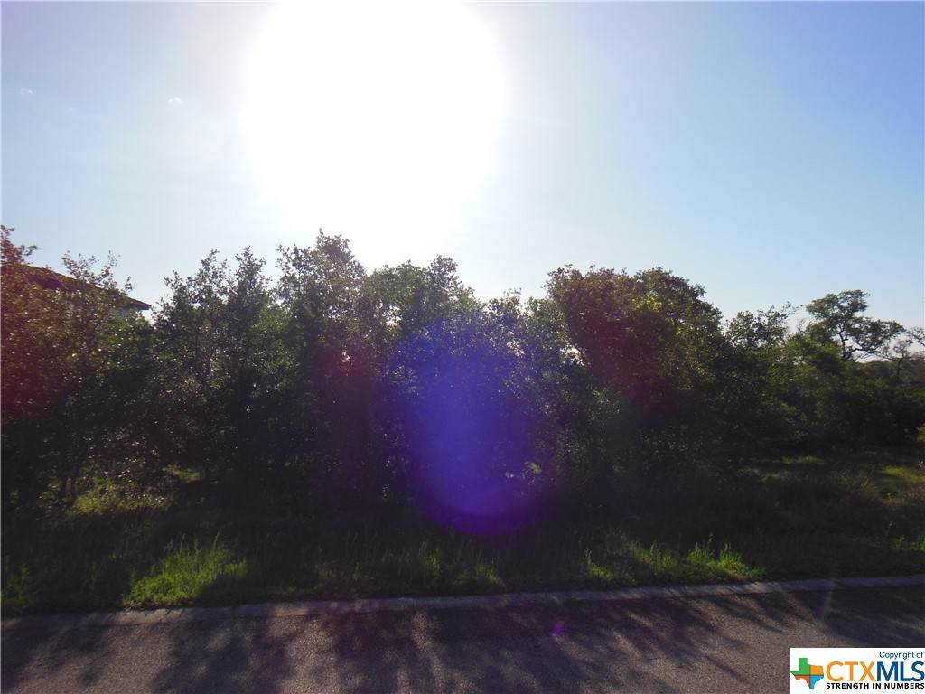 5732 Copper Forest Forest - Photo 1