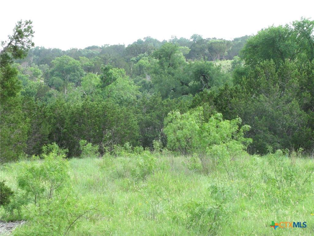 https://bt-photos.global.ssl.fastly.net/centraltx/orig_boomver_1_544077-2.jpg