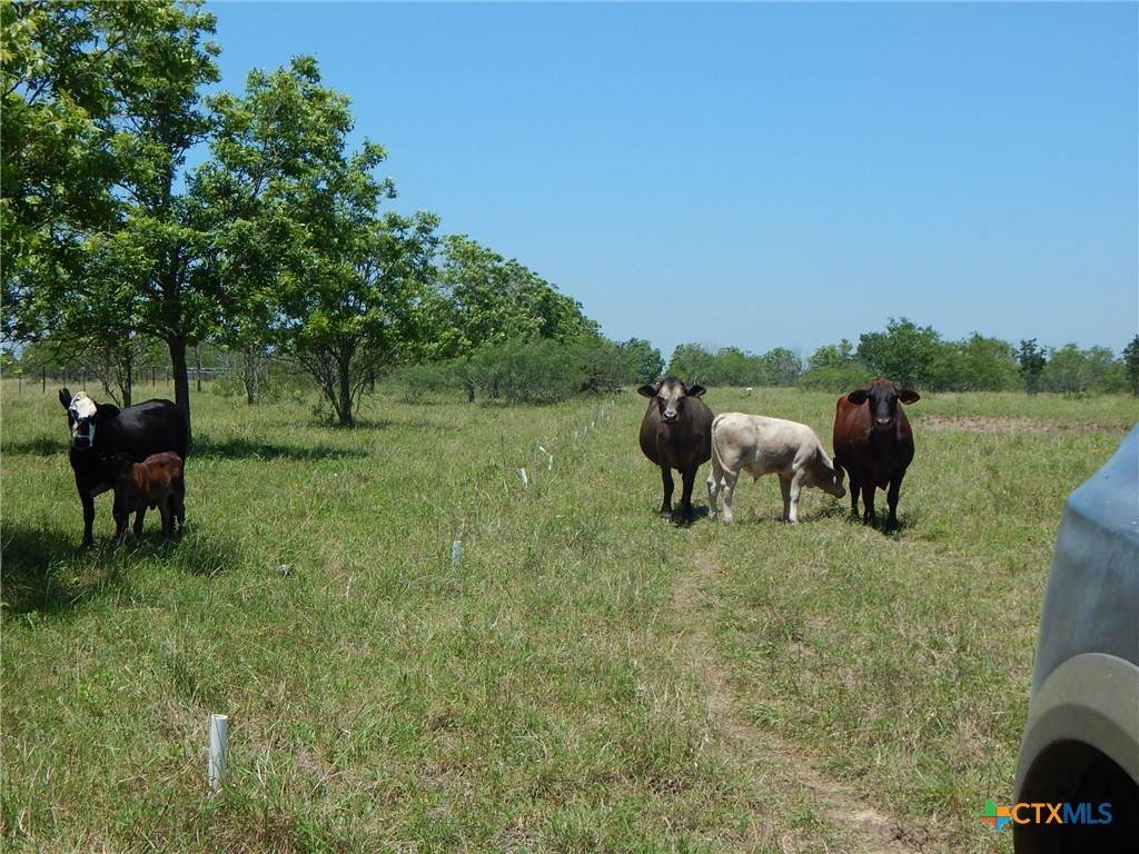 20441 Fm 2268 - Photo 1