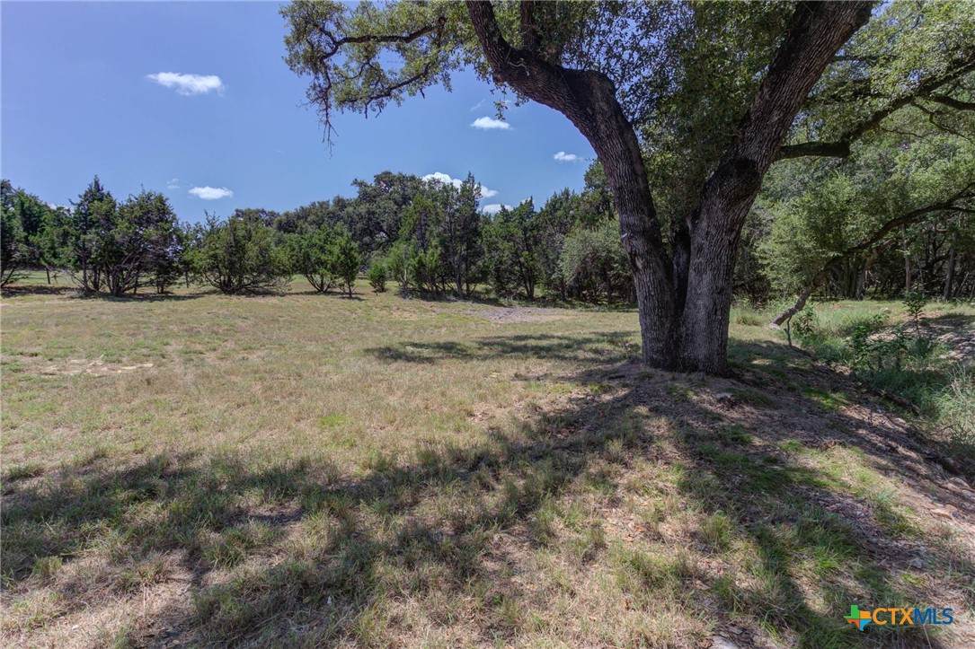 27227 Eichenbaum Road - Photo 1