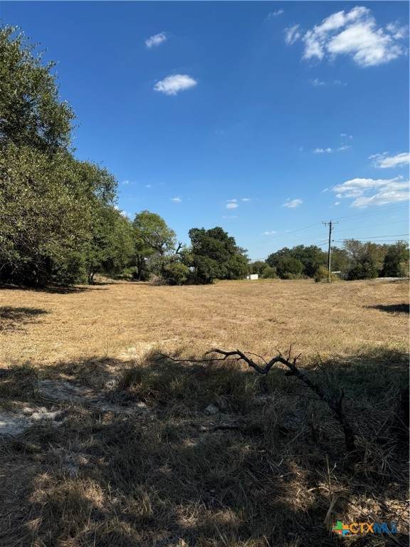 Lot 5 Bowles Ranch Road - Photo 1