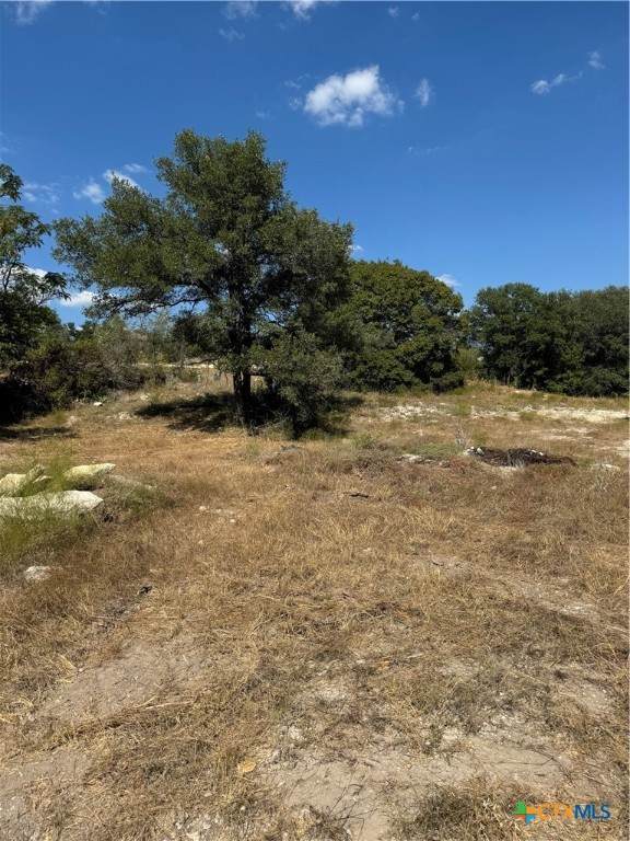 Lot 6 Bowles Ranch Road - Photo 1