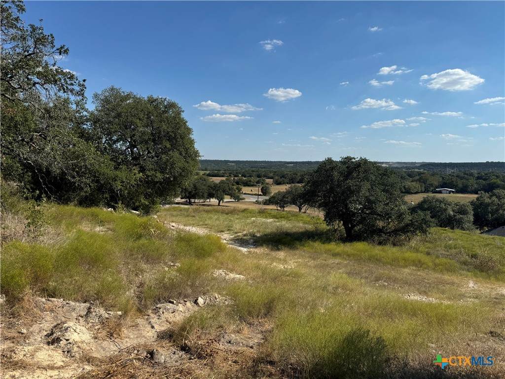 Lot 24 Bowles Ranch Road - Photo 1