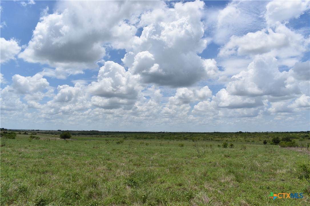 TBD County Road 109 - Photo 1