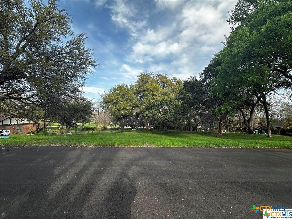 TBD Estate Drive - Photo 1