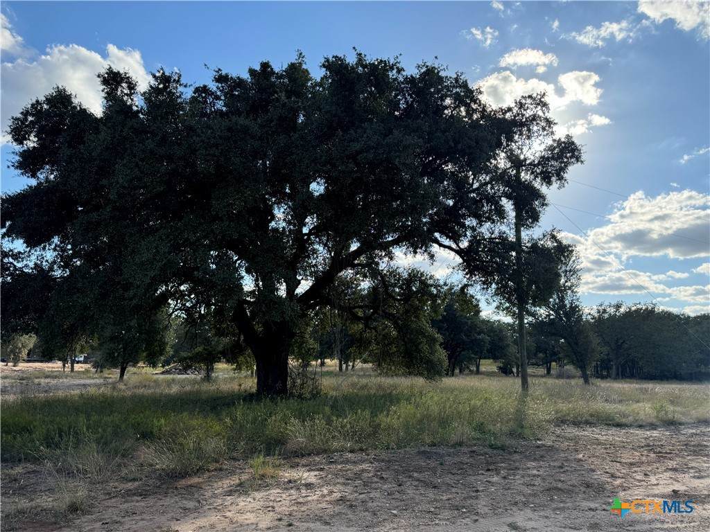 312 Old Waco Road - Photo 1