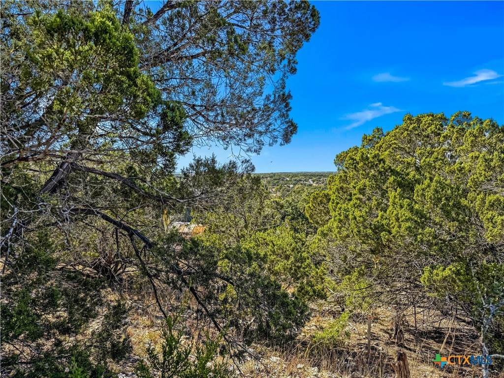 2900 Rocky Ridge Loop - Photo 1