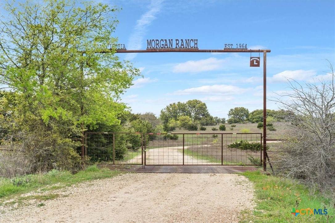 TBD 252.78 Acres Dan Morgan Road - Photo 1