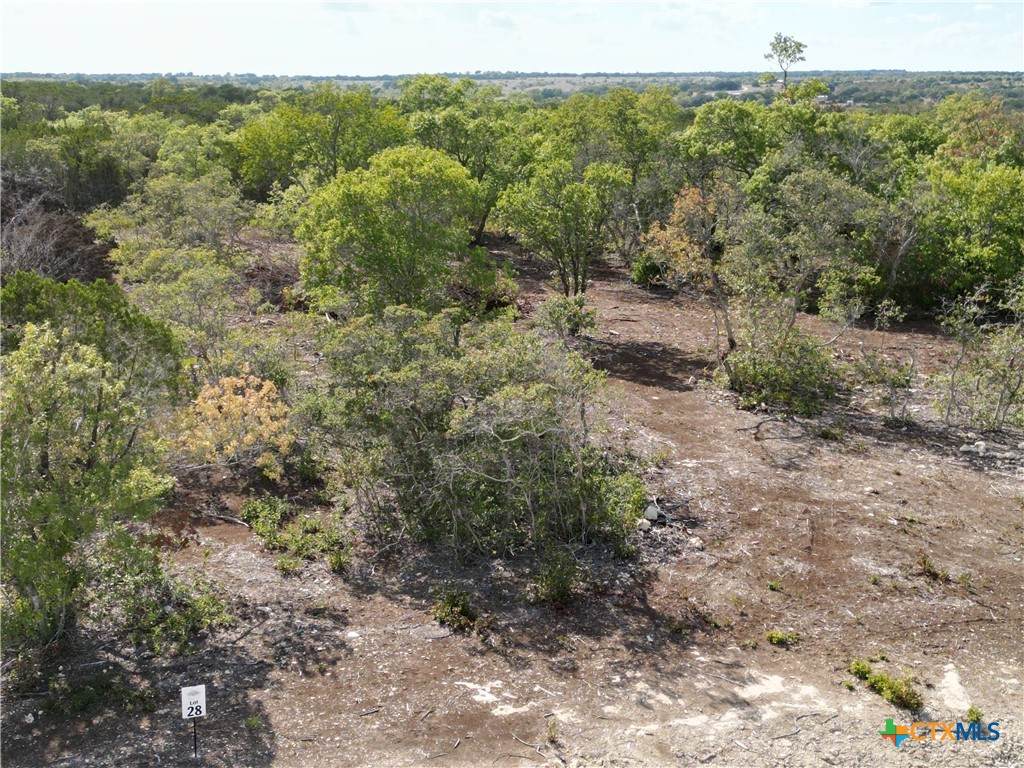Lot 28 Sawtooth Drive - Photo 1