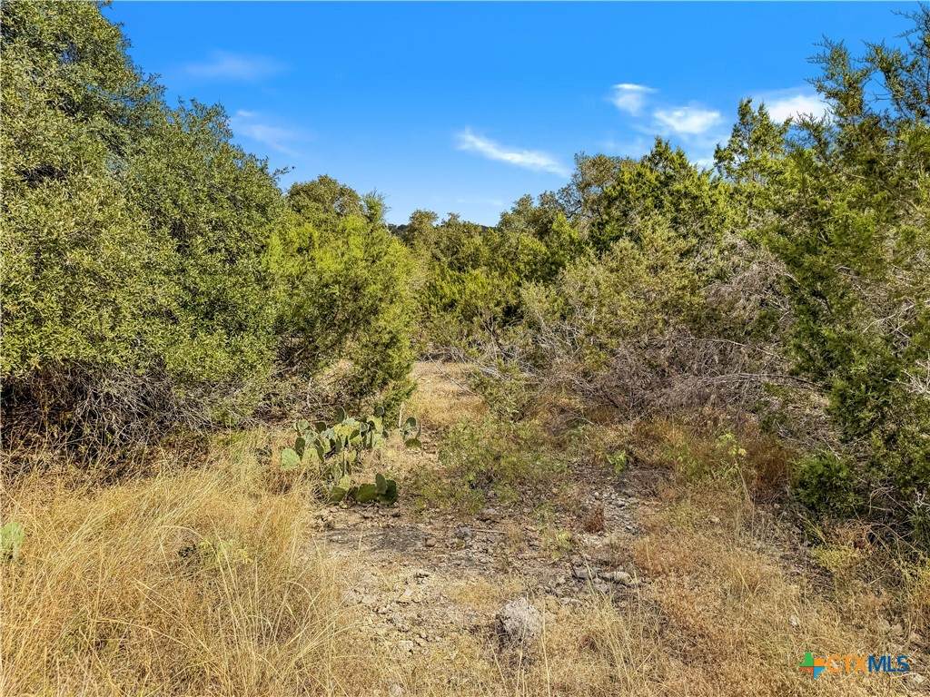 1447 Carson Creek - Photo 1