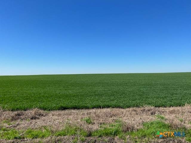 Tract 3 County Rd 355 - Photo 1