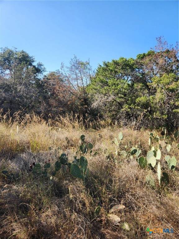 TBD Stellar Drive - Photo 1