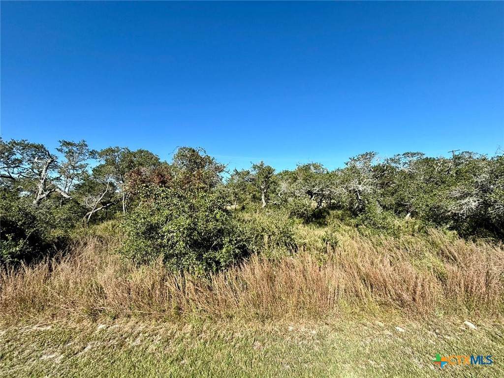 185 Walter Heldenfels Cir - Photo 1