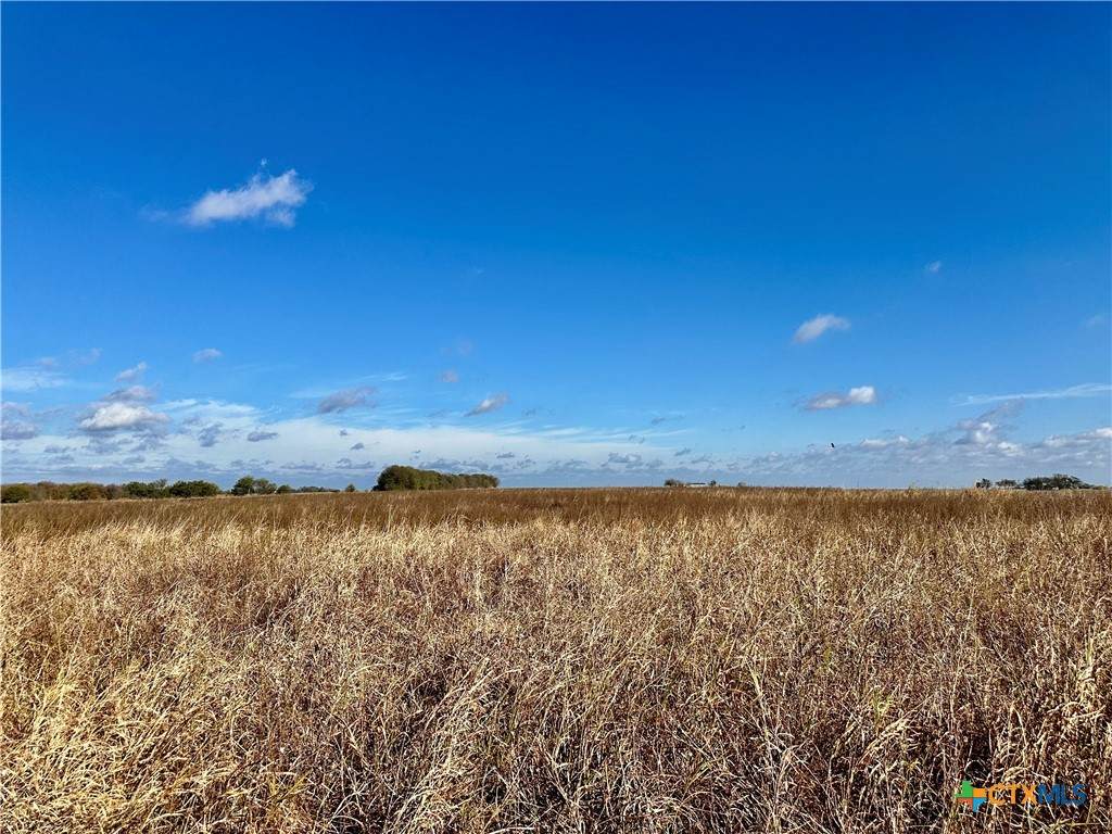 16306 Fm 2904 - Photo 1